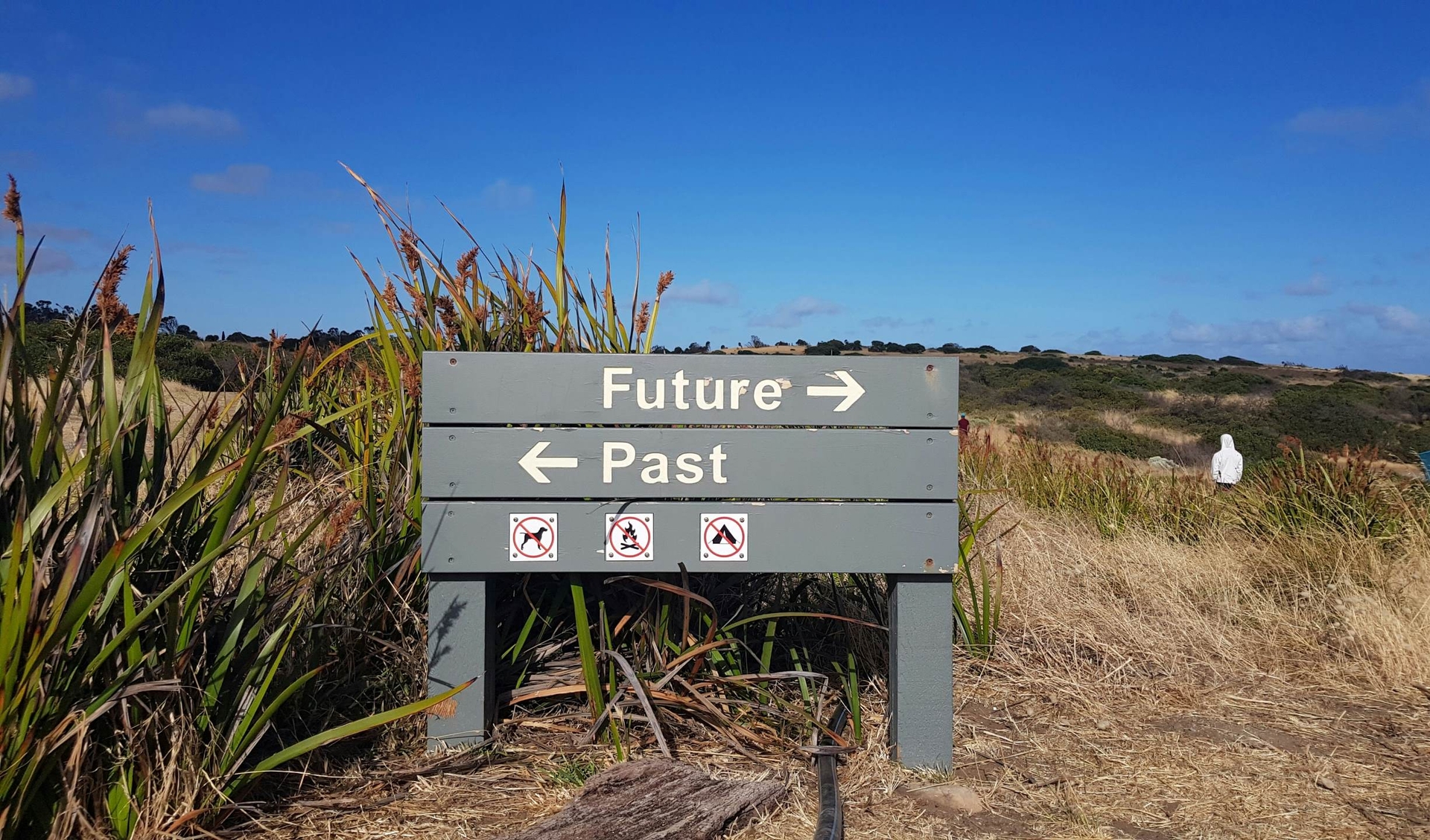 A sign on the coastline states "Future" to the right and "Past" to the left.