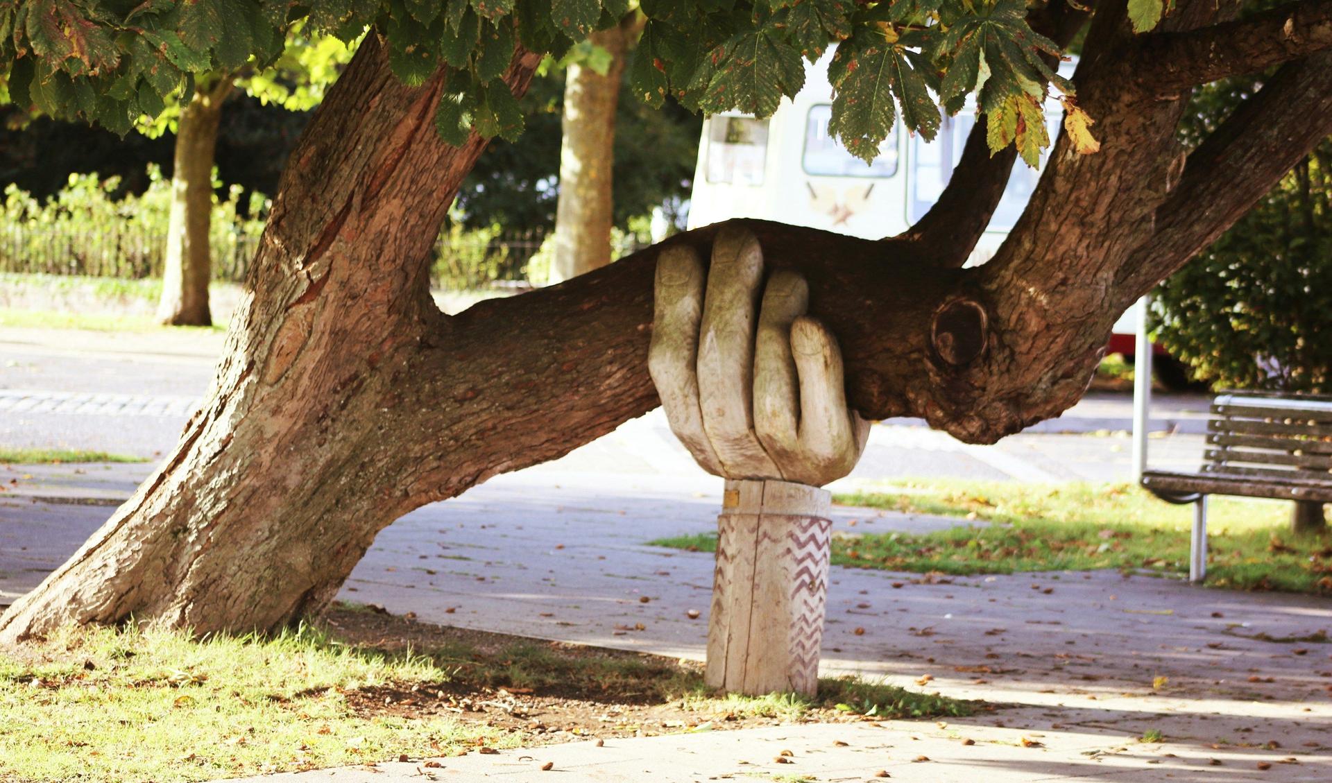 A wooden hand is mounted beneath a tree. It looks like it is holding it