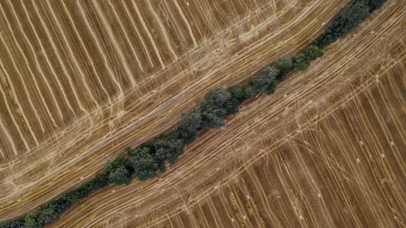 Alternative Text missing