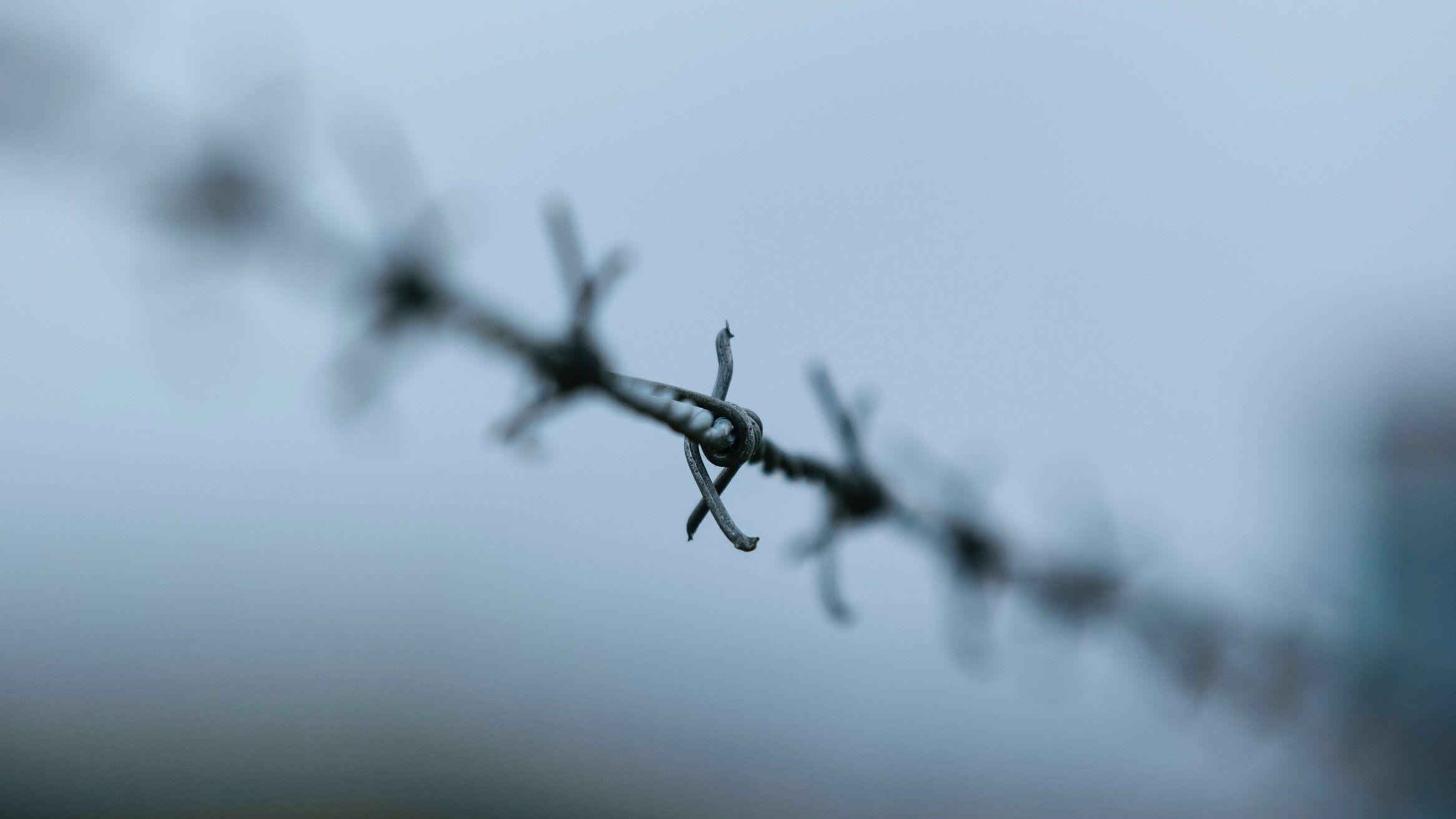 A piece of barbed wire