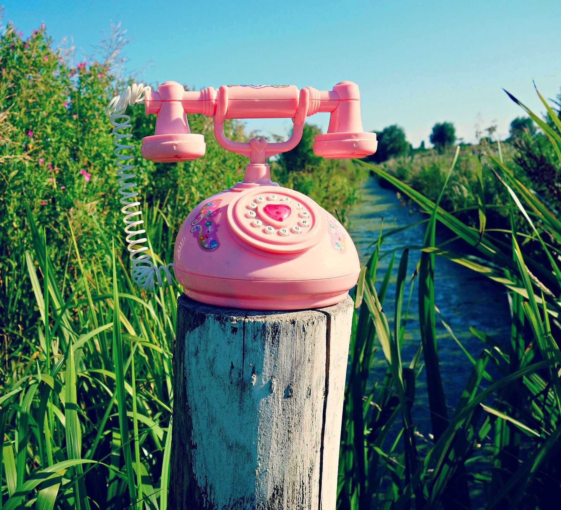 Ein pinkes Telefon auf einem Holzpfahl in einer grünen Schilflandschaft. Dahinter sieht man einen Fluss.