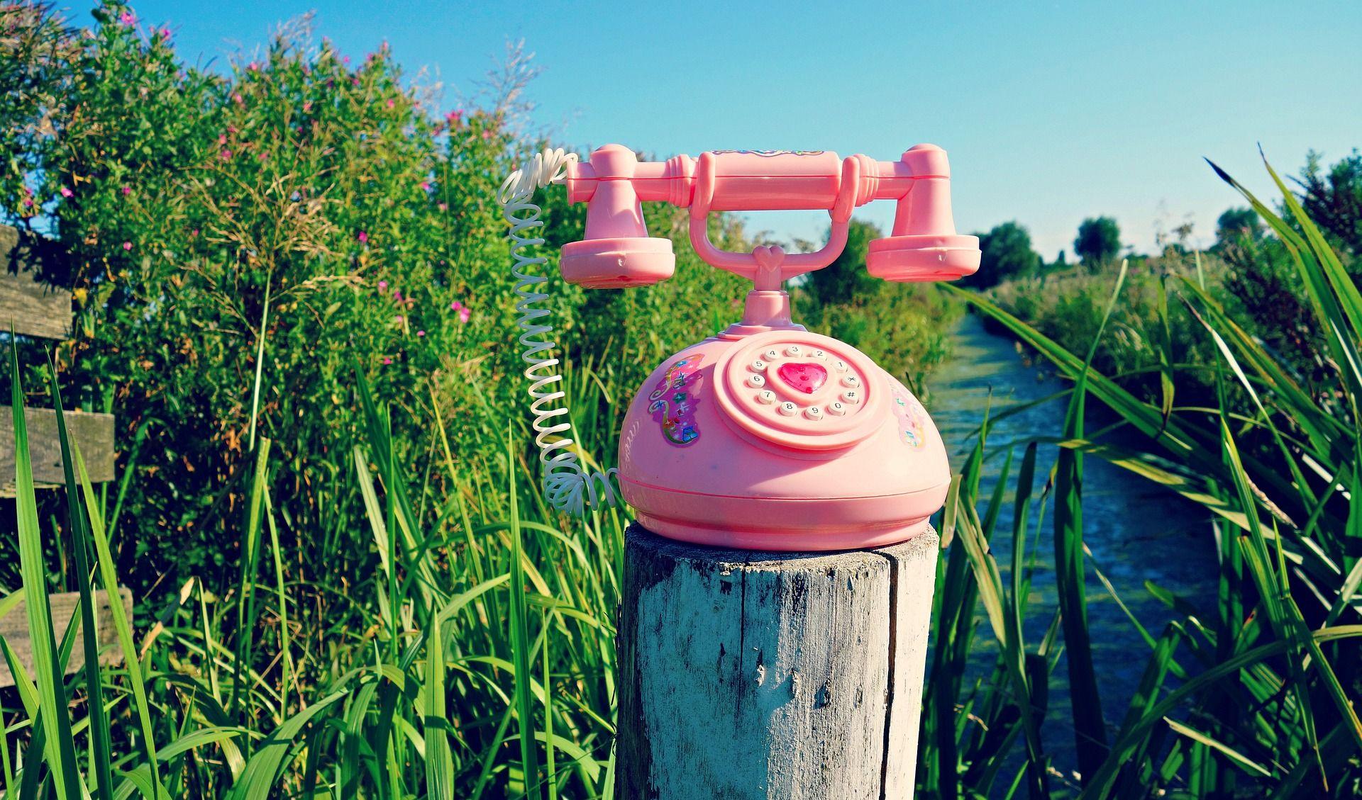 A pink phone on a wooden stake close. In the background there ist water and plants and a blue sky.