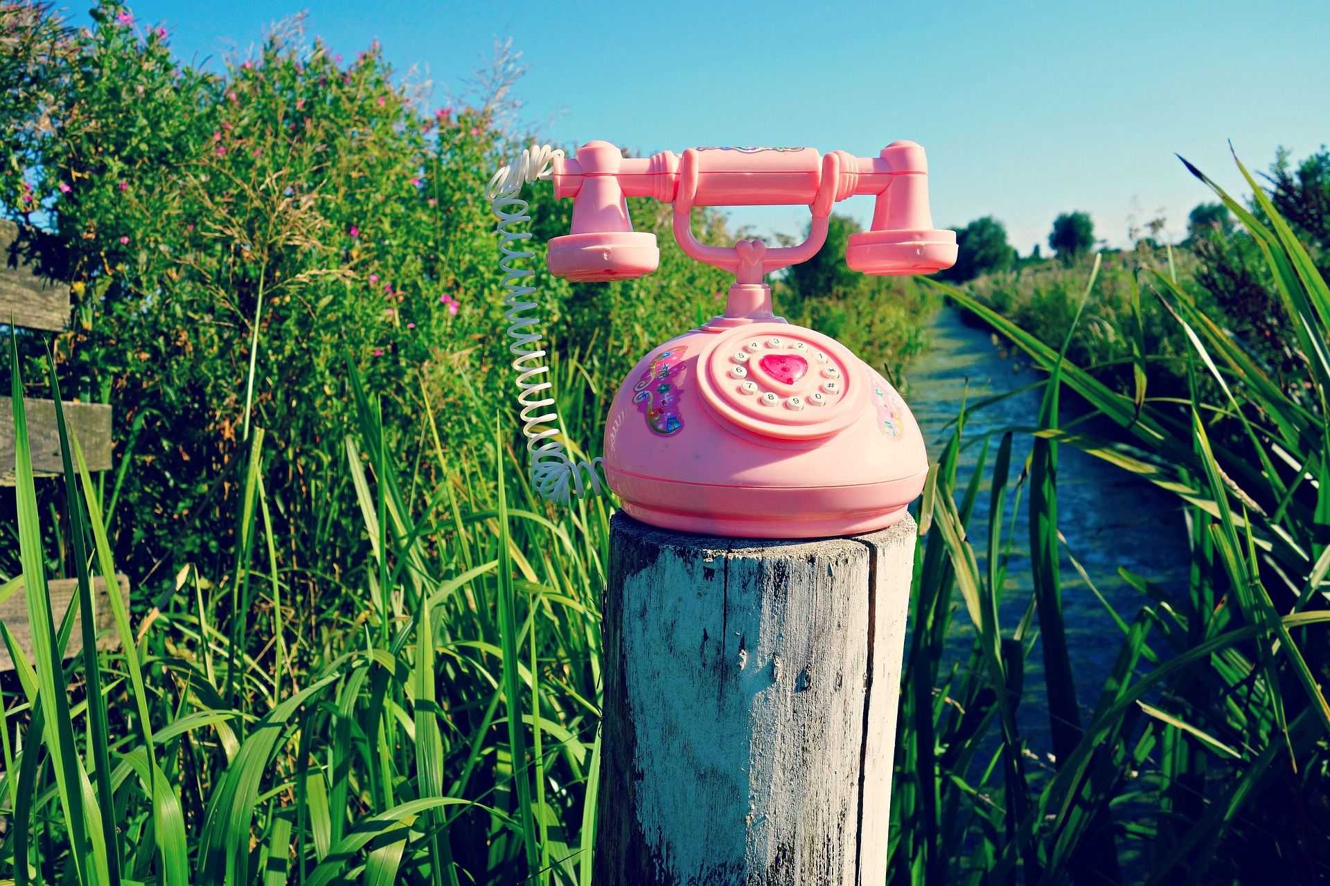 A pink phone on a wooden stake close. In the background there ist water and plants and a blue sky.