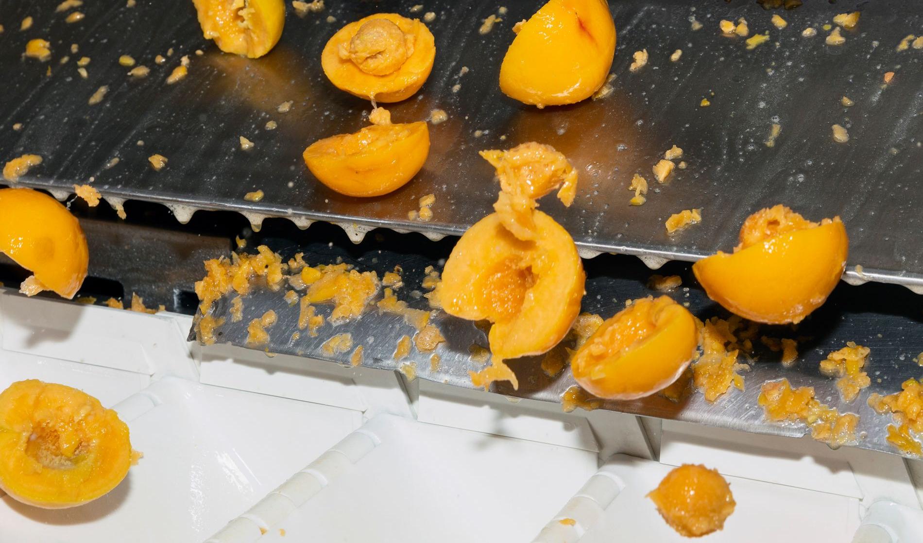Peeled Peaches are falling down a metal slide in a factory.